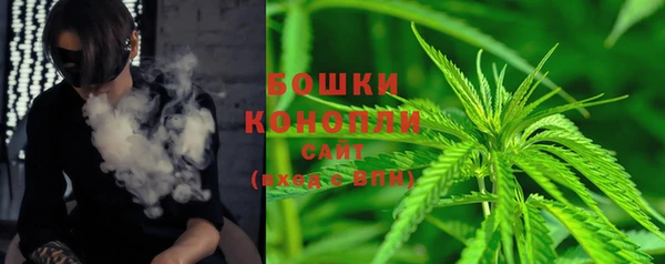 молекула духа Алзамай