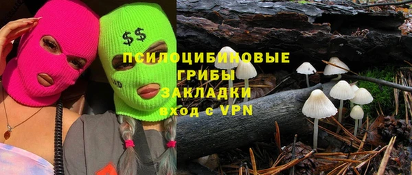 молекула духа Алзамай